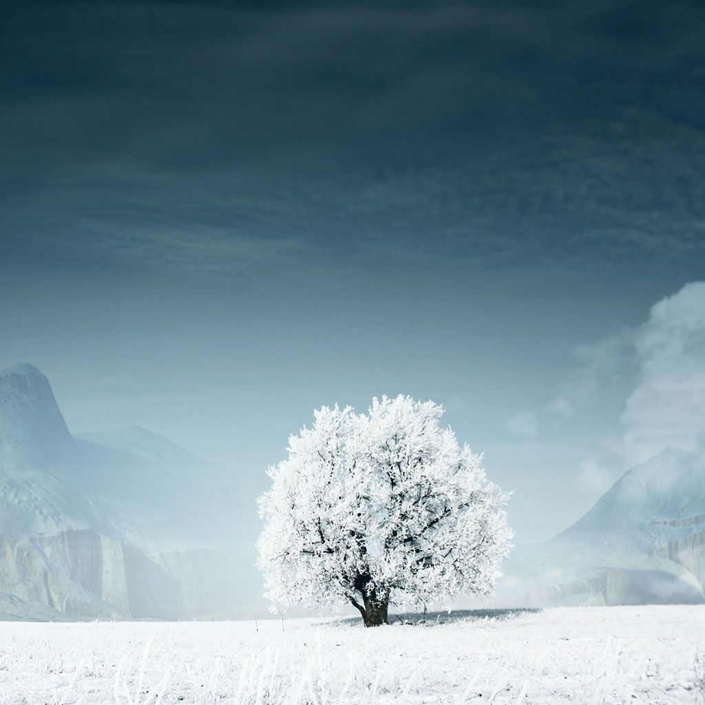 Winter Welcome Images Wallpapers