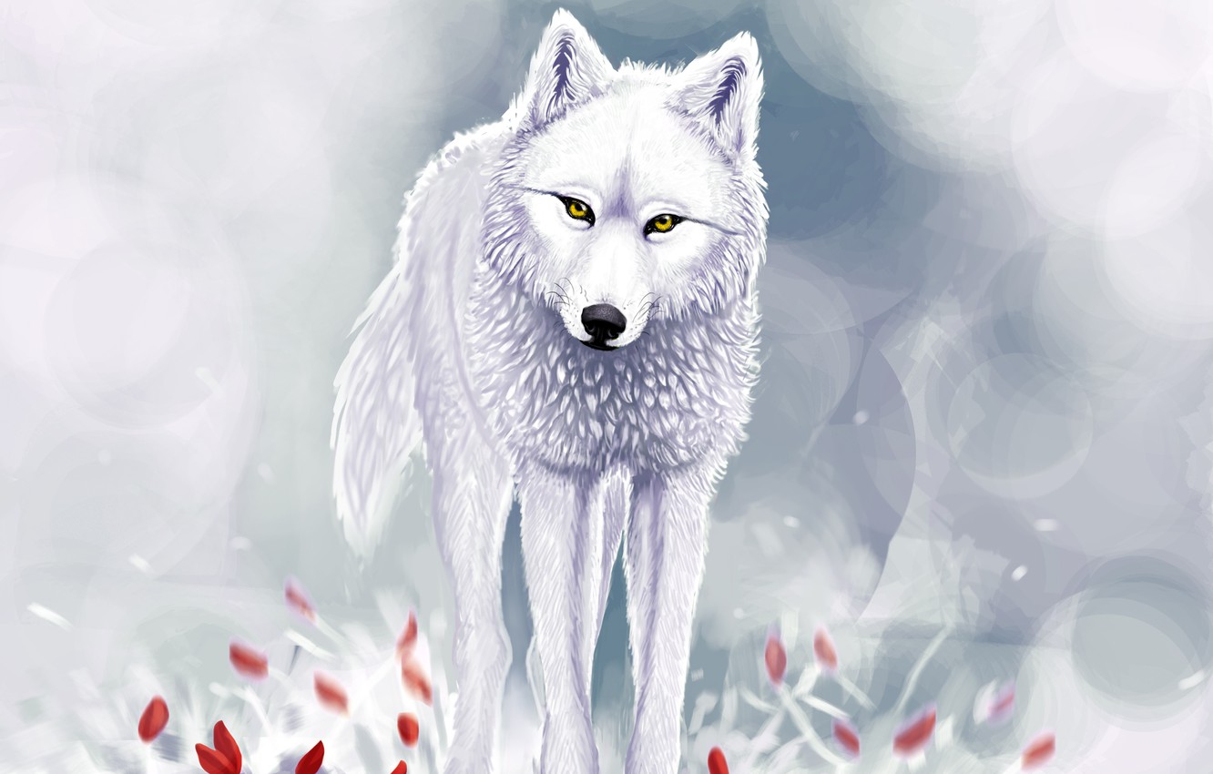 Winter Wolf Wallpapers