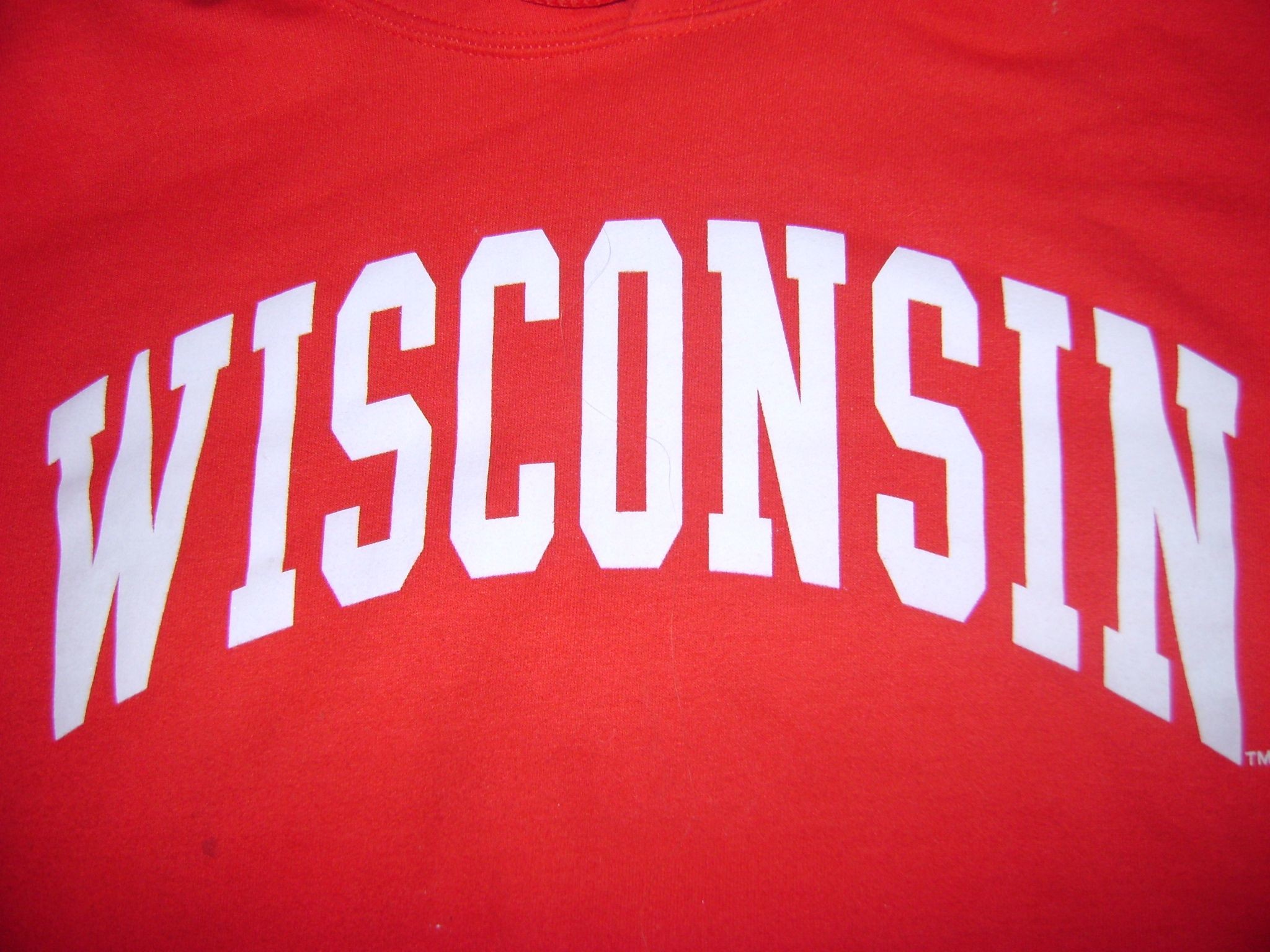 Wisconsin Badger Wallpapers