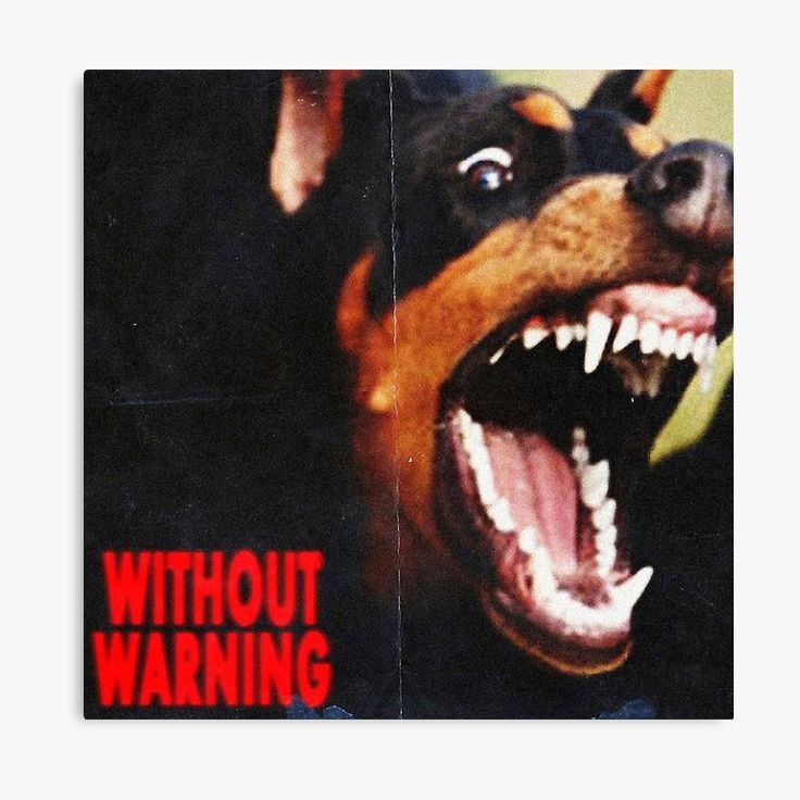 Without Warning Wallpapers