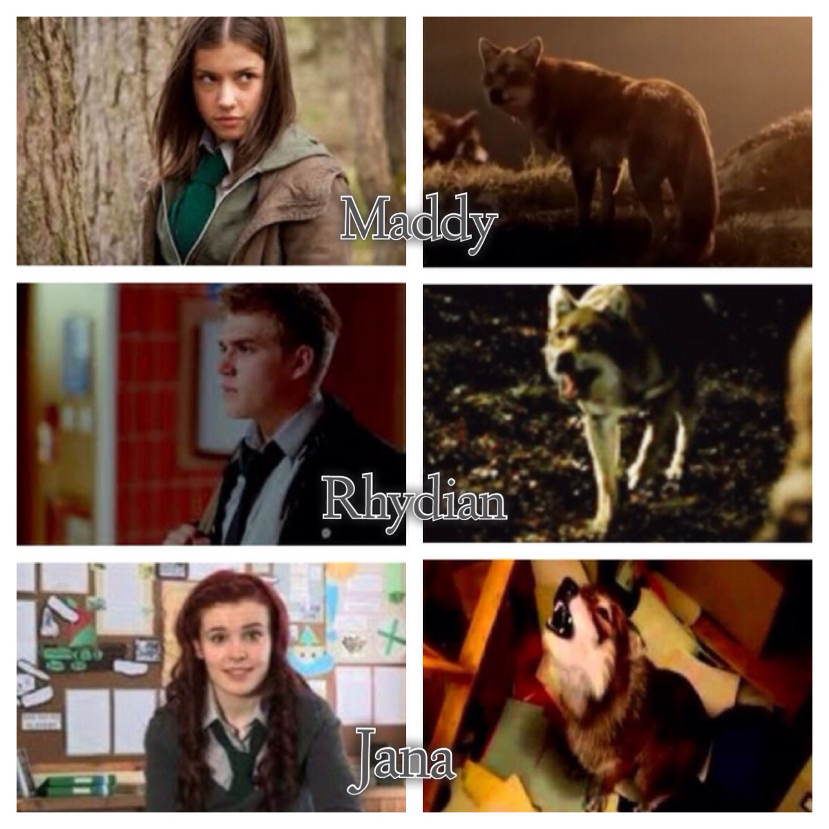 Wolfblood Wallpapers