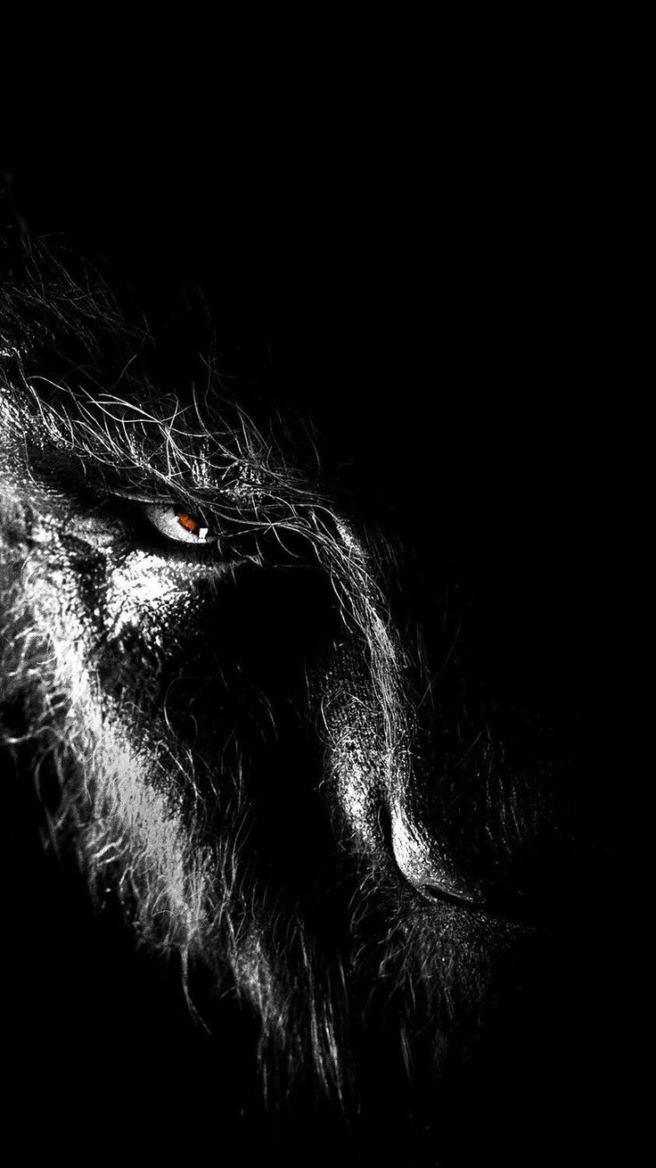 Wolfman Wallpapers