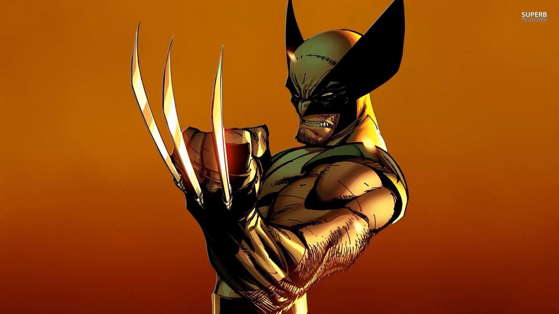 Wolverine Cartoon Images Wallpapers