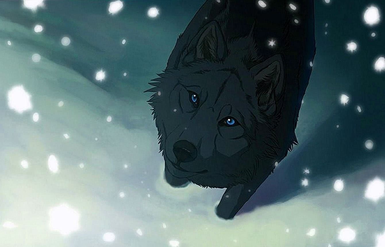 Wolves Rain Wallpapers