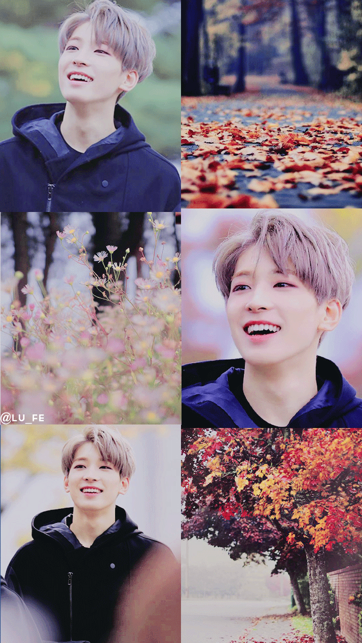 Wonwoo Tumblr Wallpapers