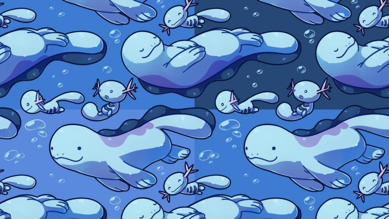 Wooper Wallpapers