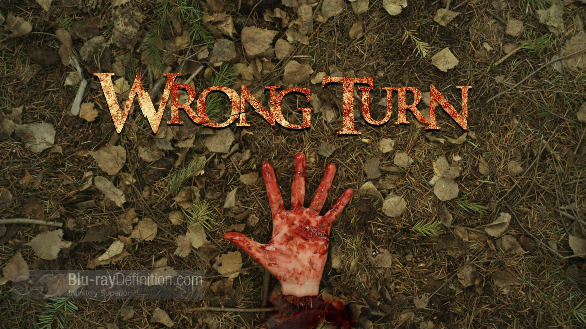 Wrong Turn Picture Wallpapers