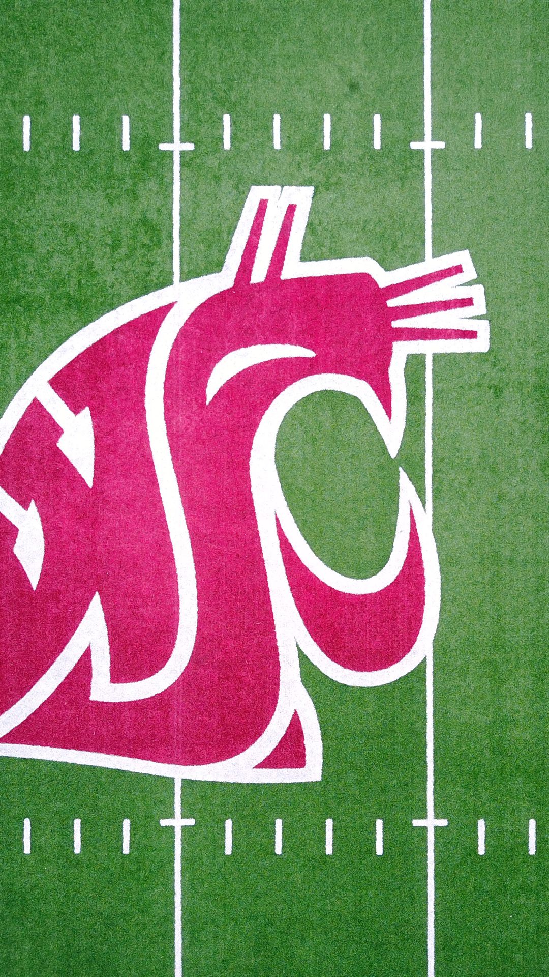 Wsu Wallpapers