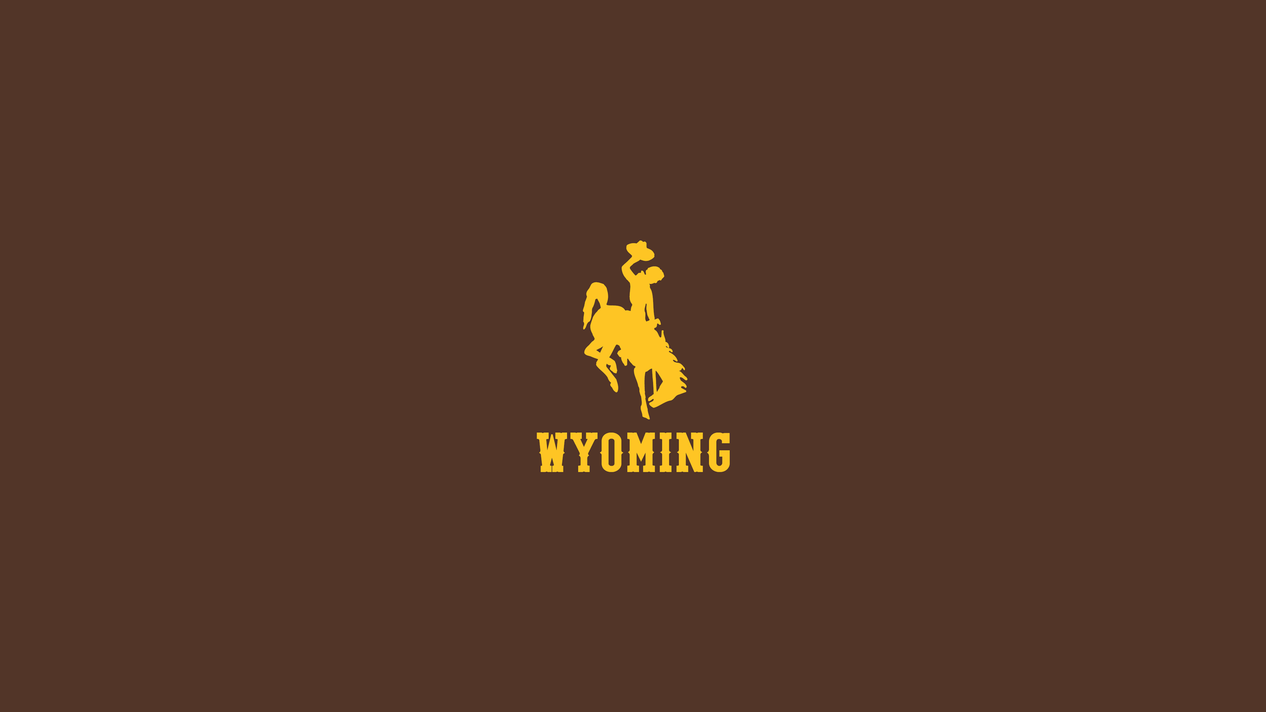 Wyoming Cowboy Wallpapers