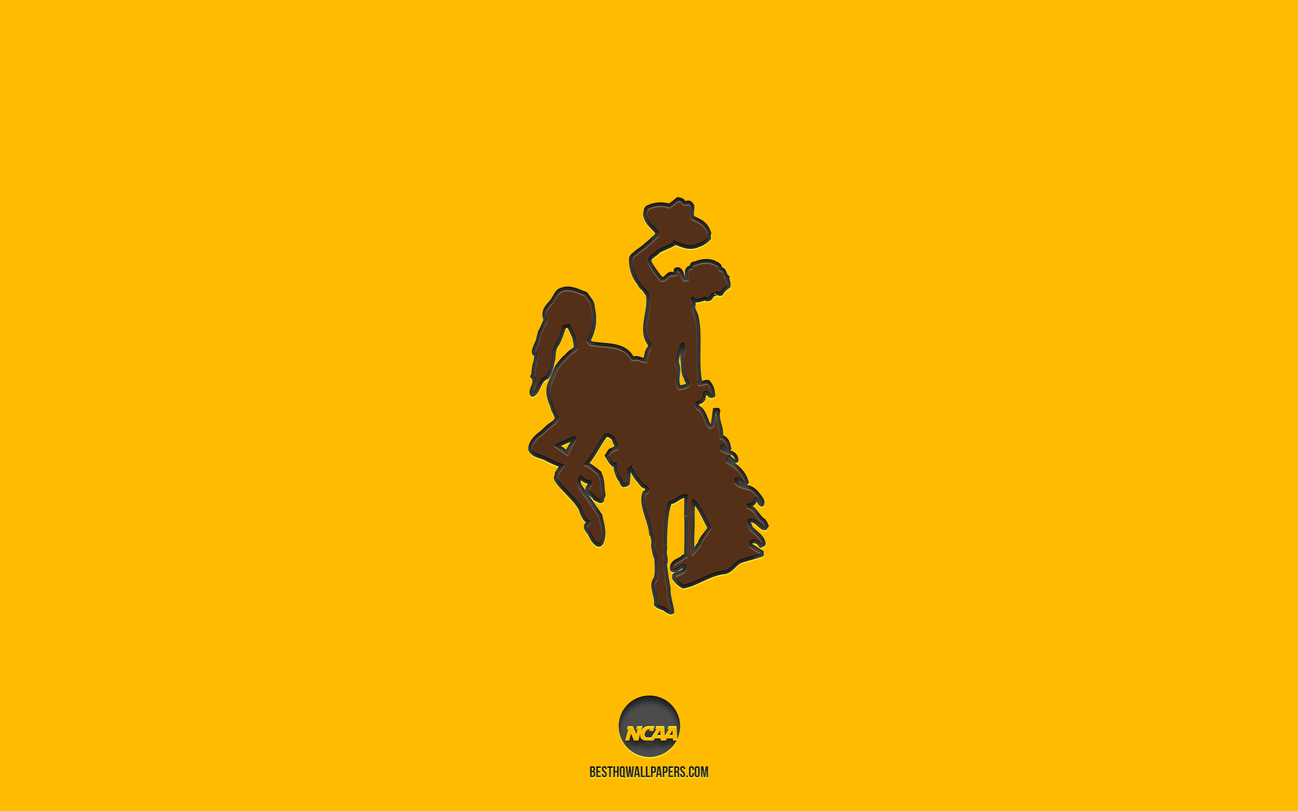 Wyoming Cowboy Wallpapers