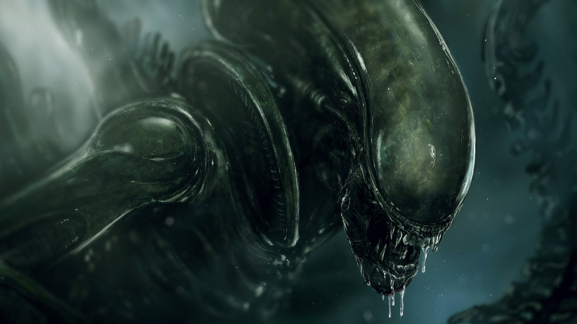 Xenomorph Wallpapers