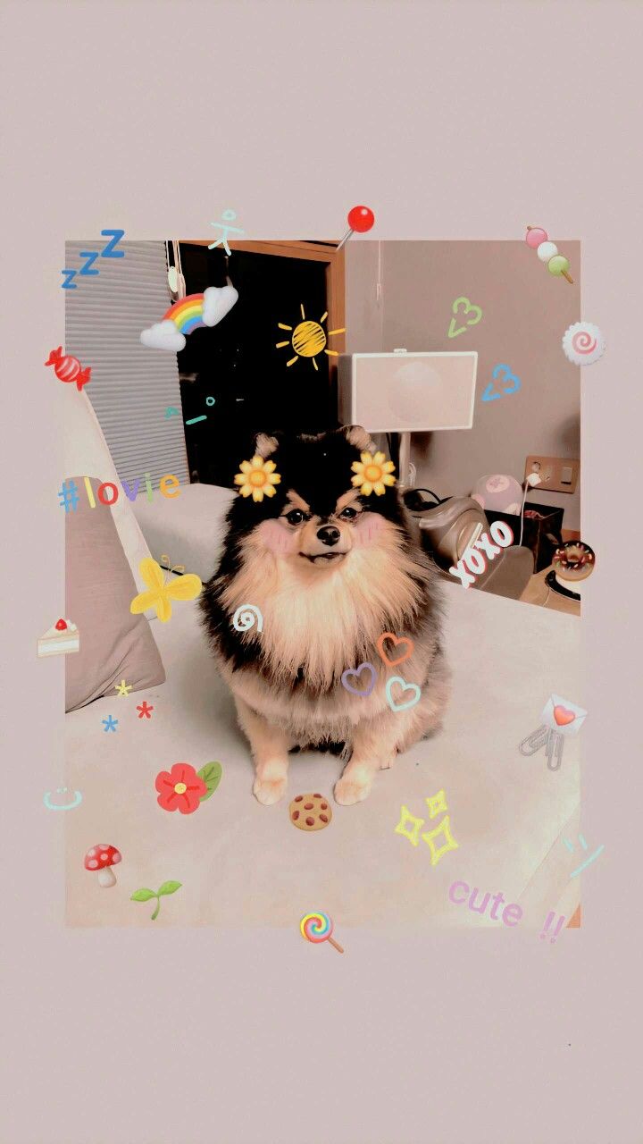 Yeontan Wallpapers