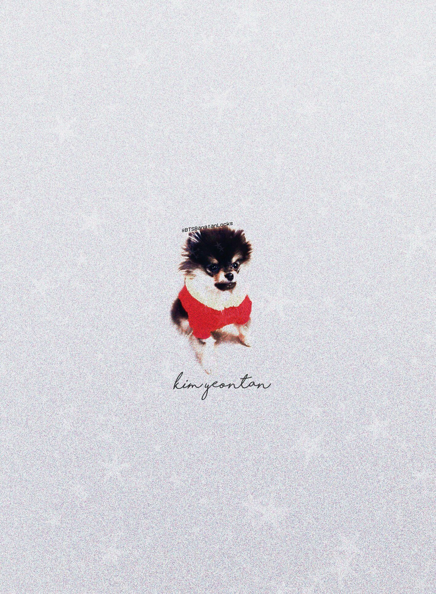 Yeontan Wallpapers