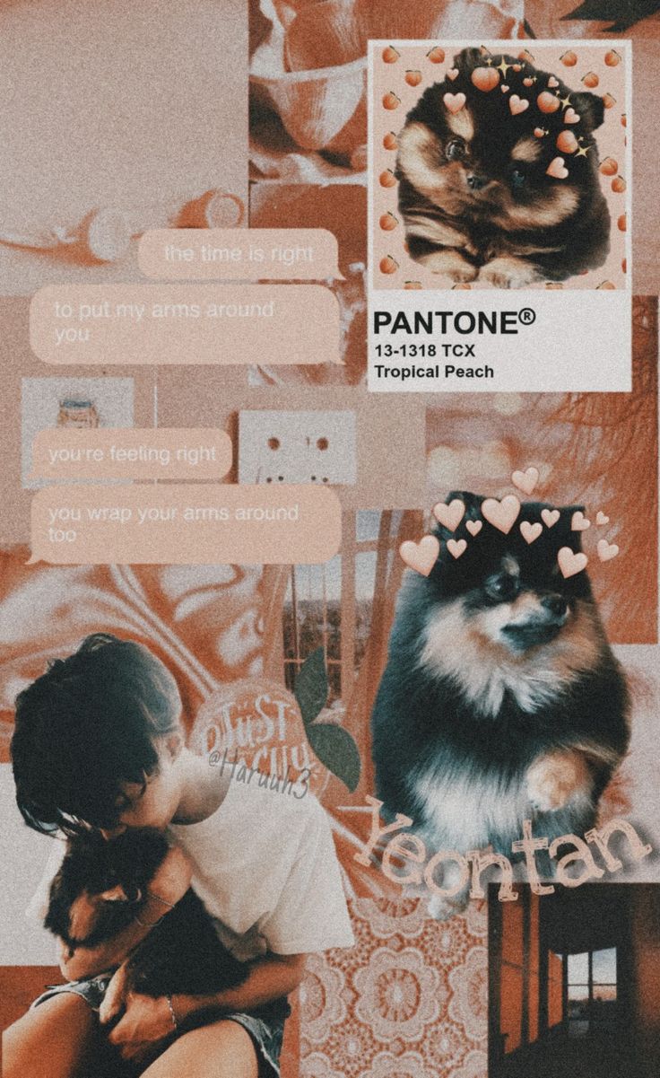 Yeontan Wallpapers