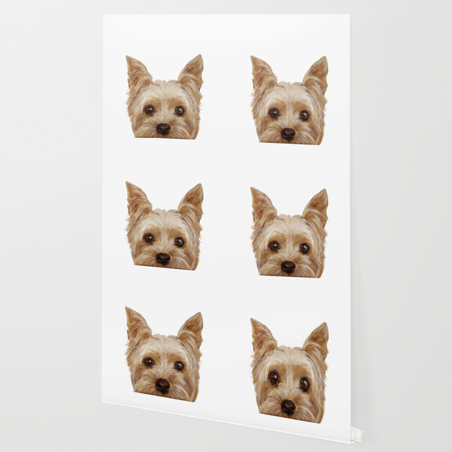 Yorkshire Terriers Wallpapers