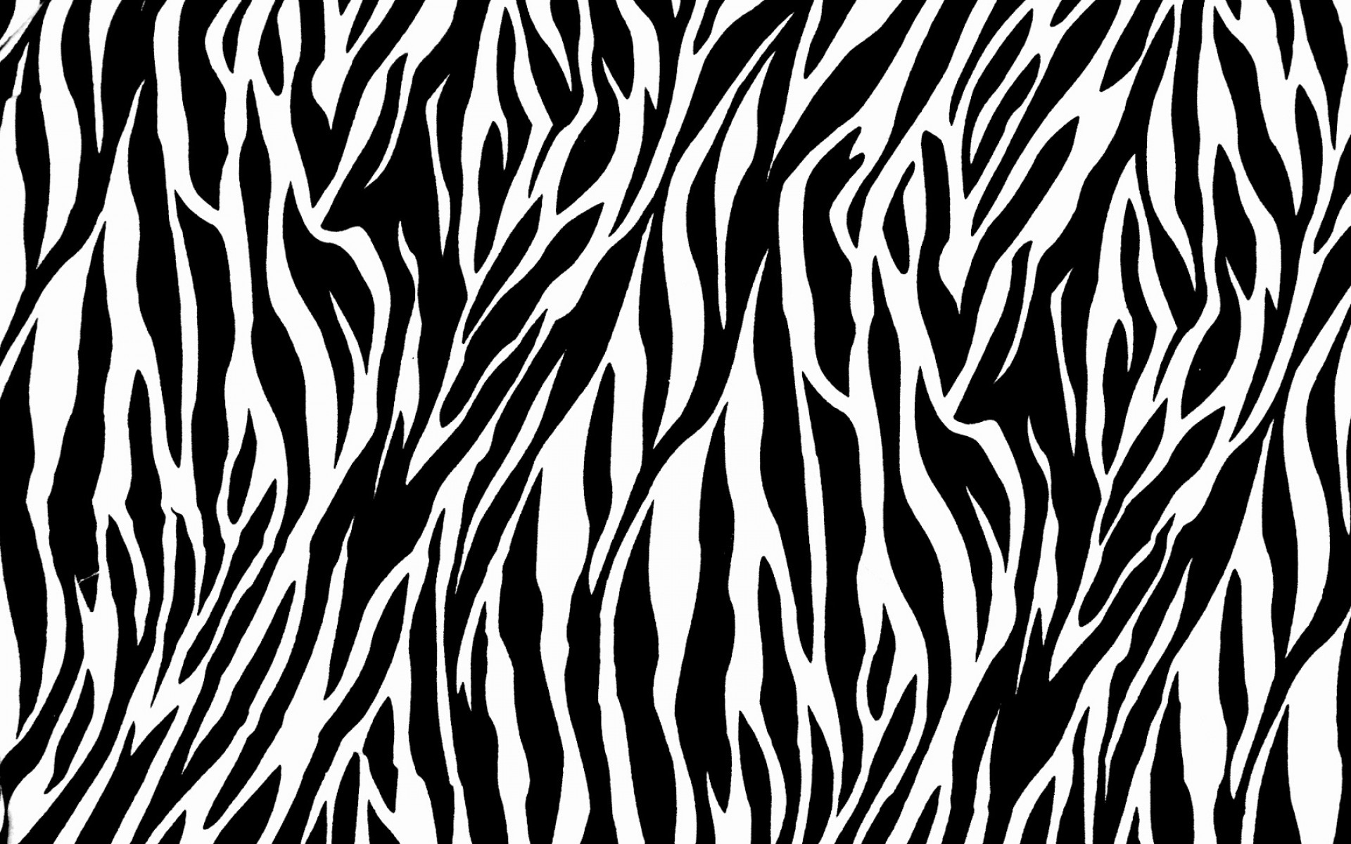 Zebra Print Wallpapers