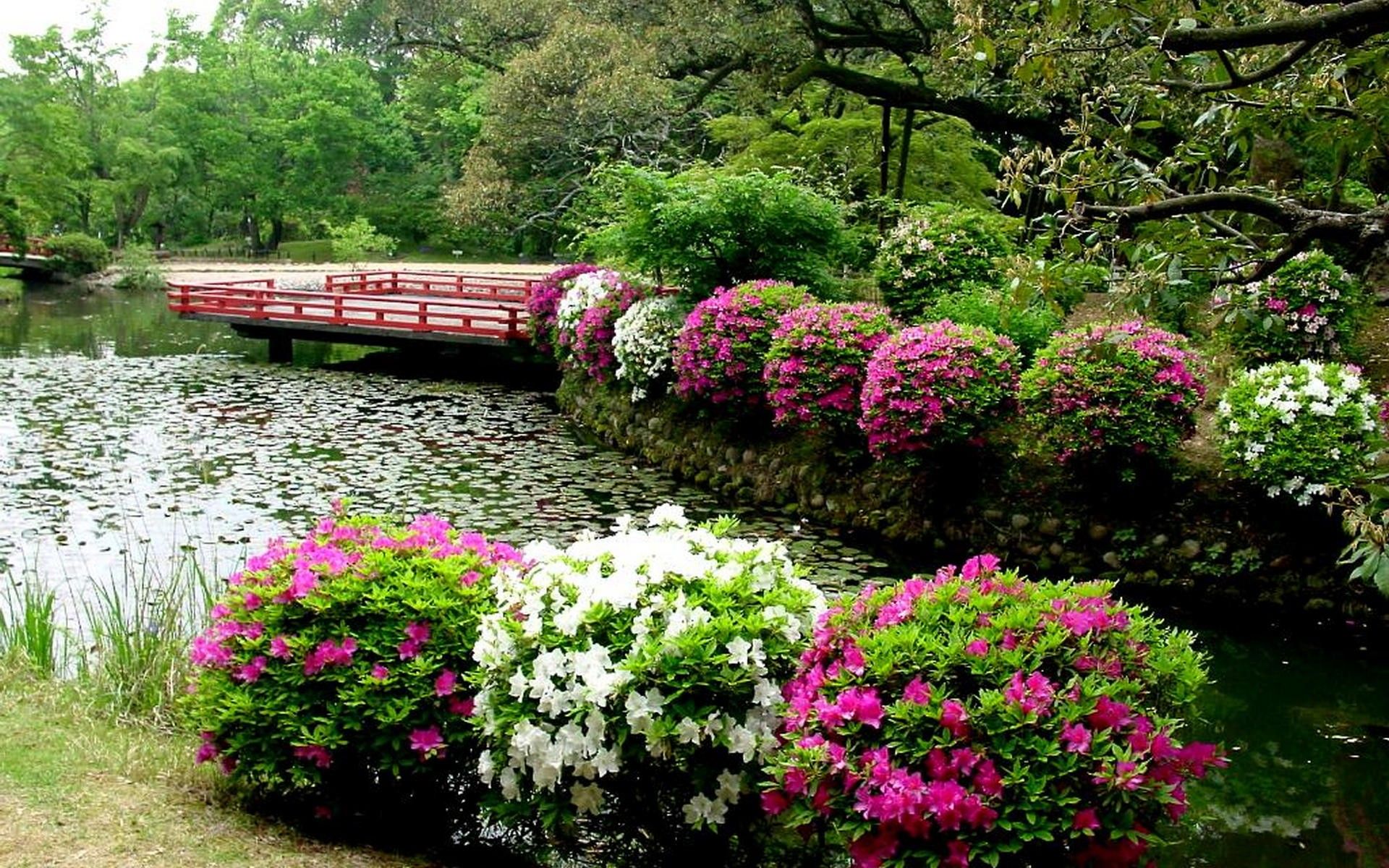 Zen Flower Garden Wallpapers