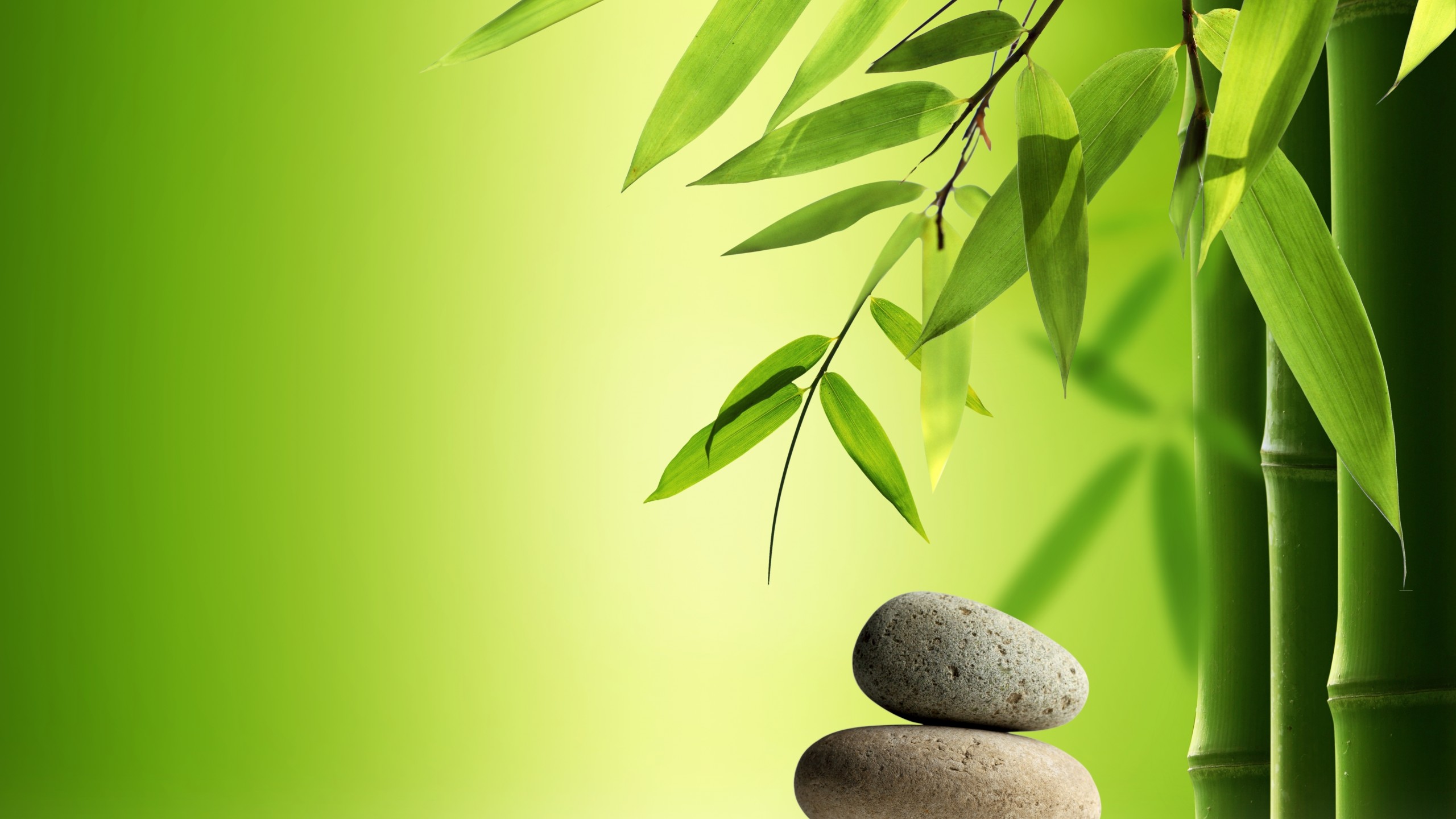 Zen Nature Wallpapers