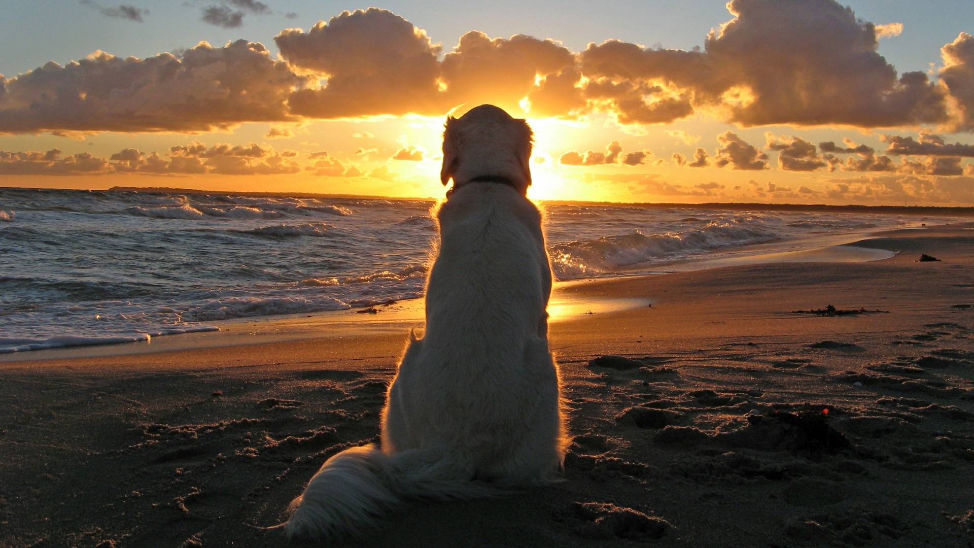 Beach Computer Background