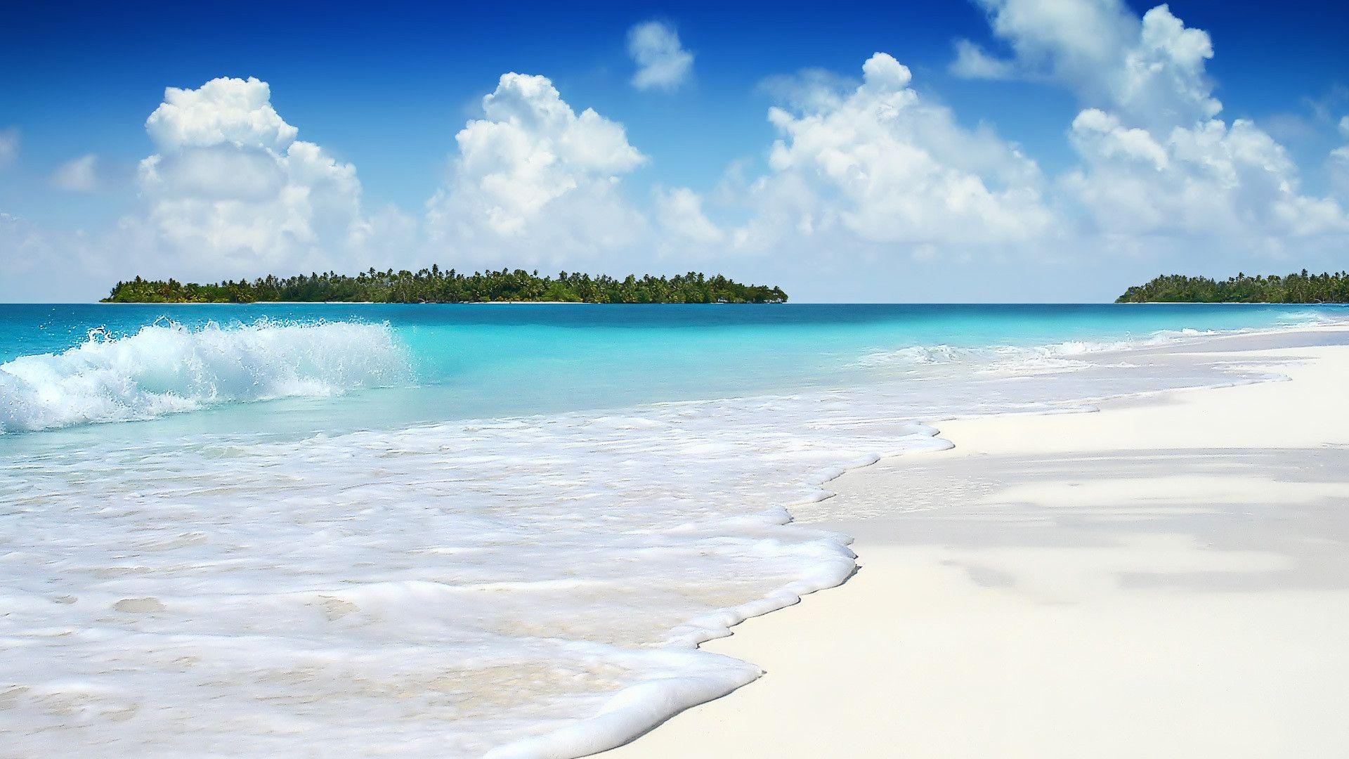 Beach Themed Backgrounds