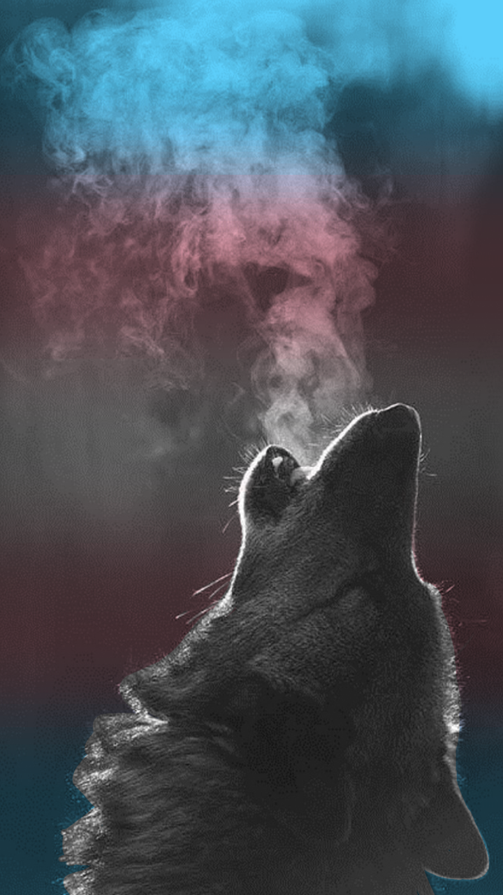 Wolf Phone Background