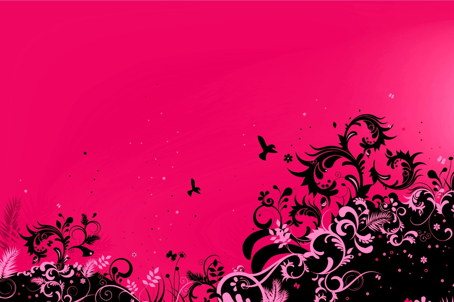 Pink And Black Backgrounds For Desktop