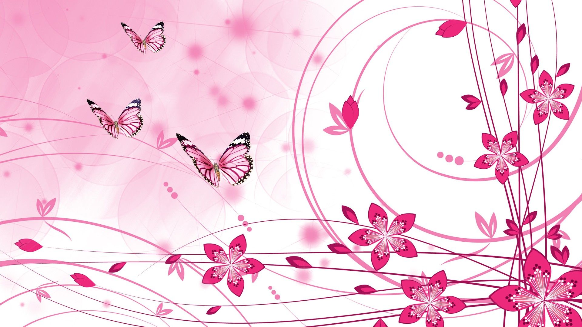 Pink Colour Background