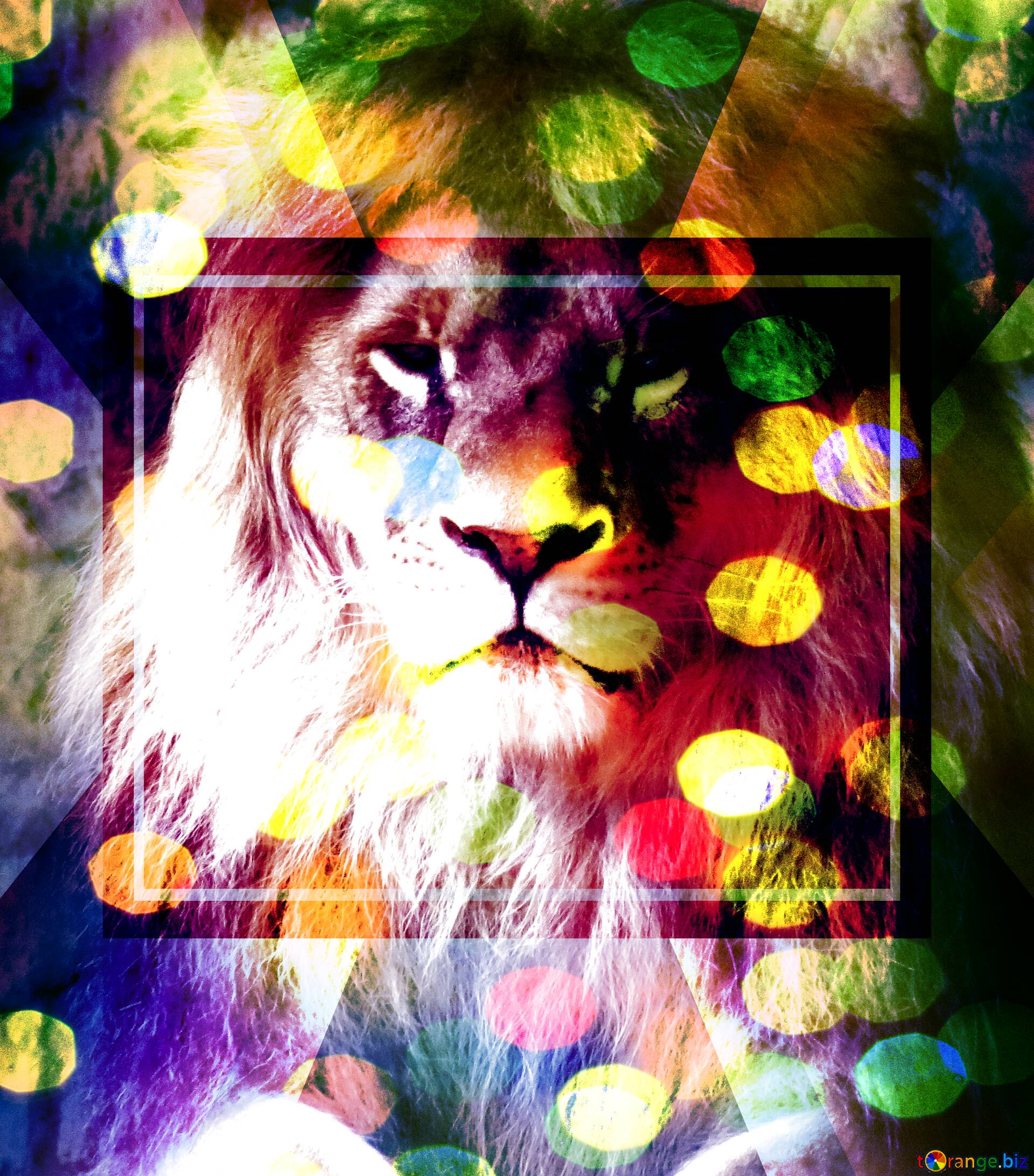 Lion Purple Background Digital Art