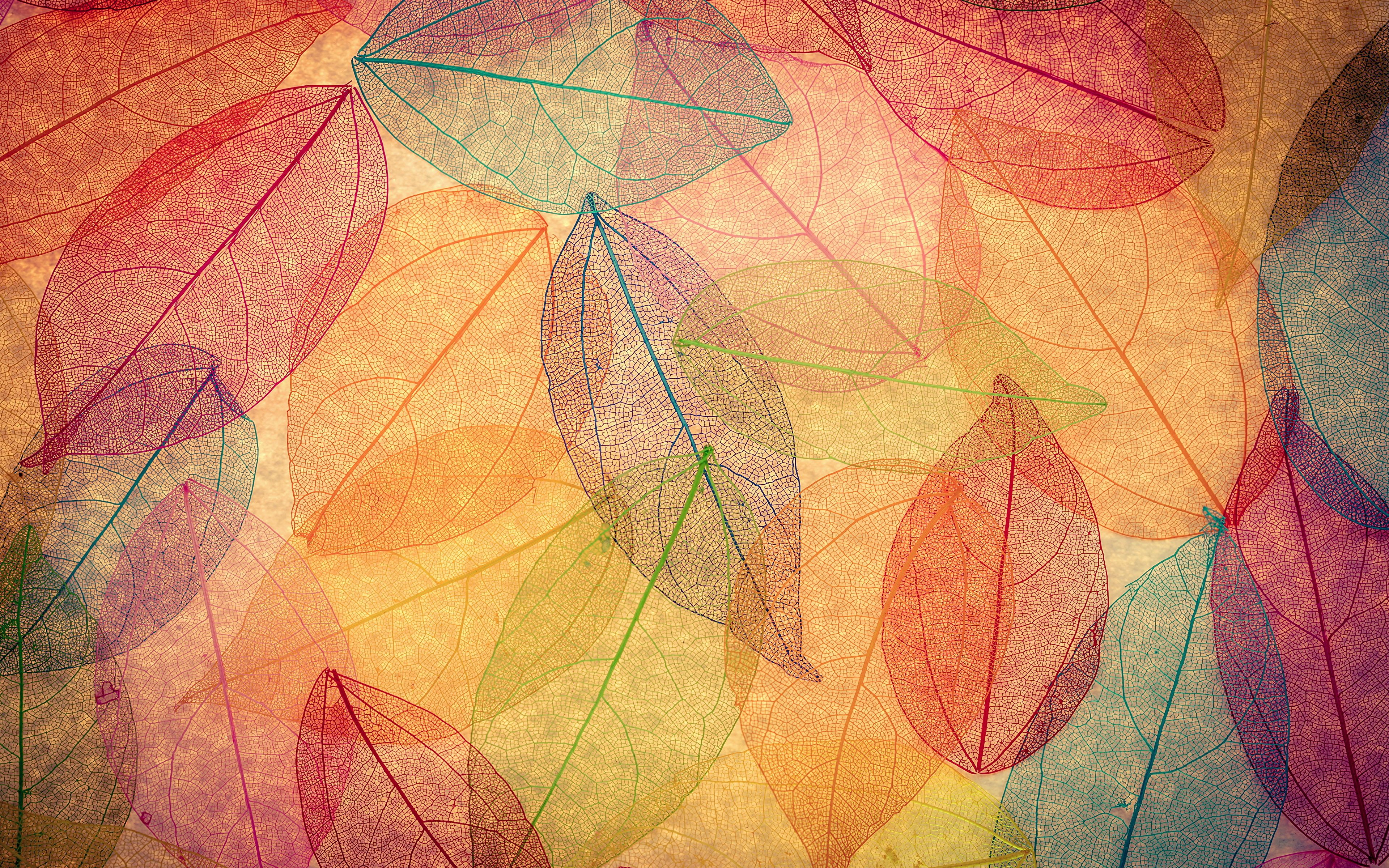 Abstract Fall Background