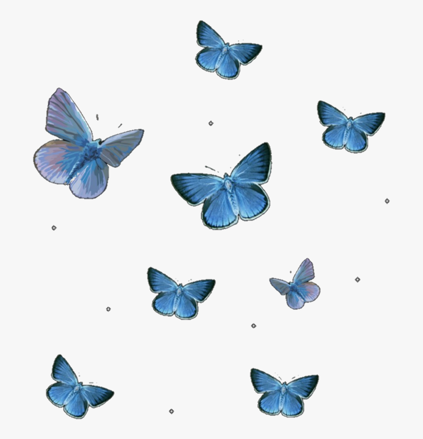 Aesthetic Butterfly Transparent Background