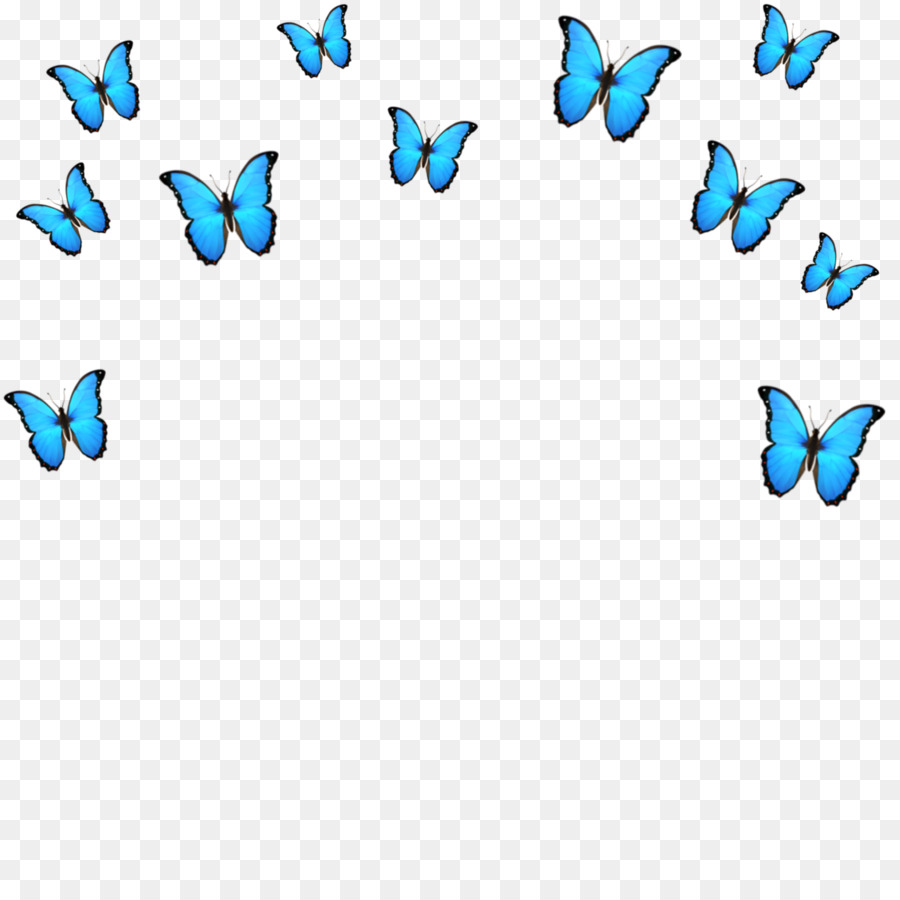 Aesthetic Butterfly Transparent Background