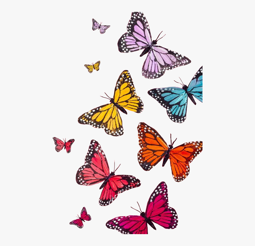 Aesthetic Butterfly Transparent Background