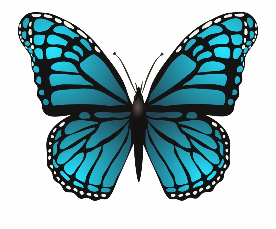 Aesthetic Butterfly Transparent Background