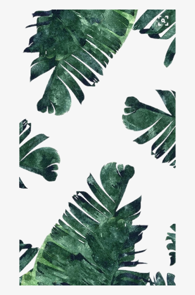 Aesthetic Leaf Background