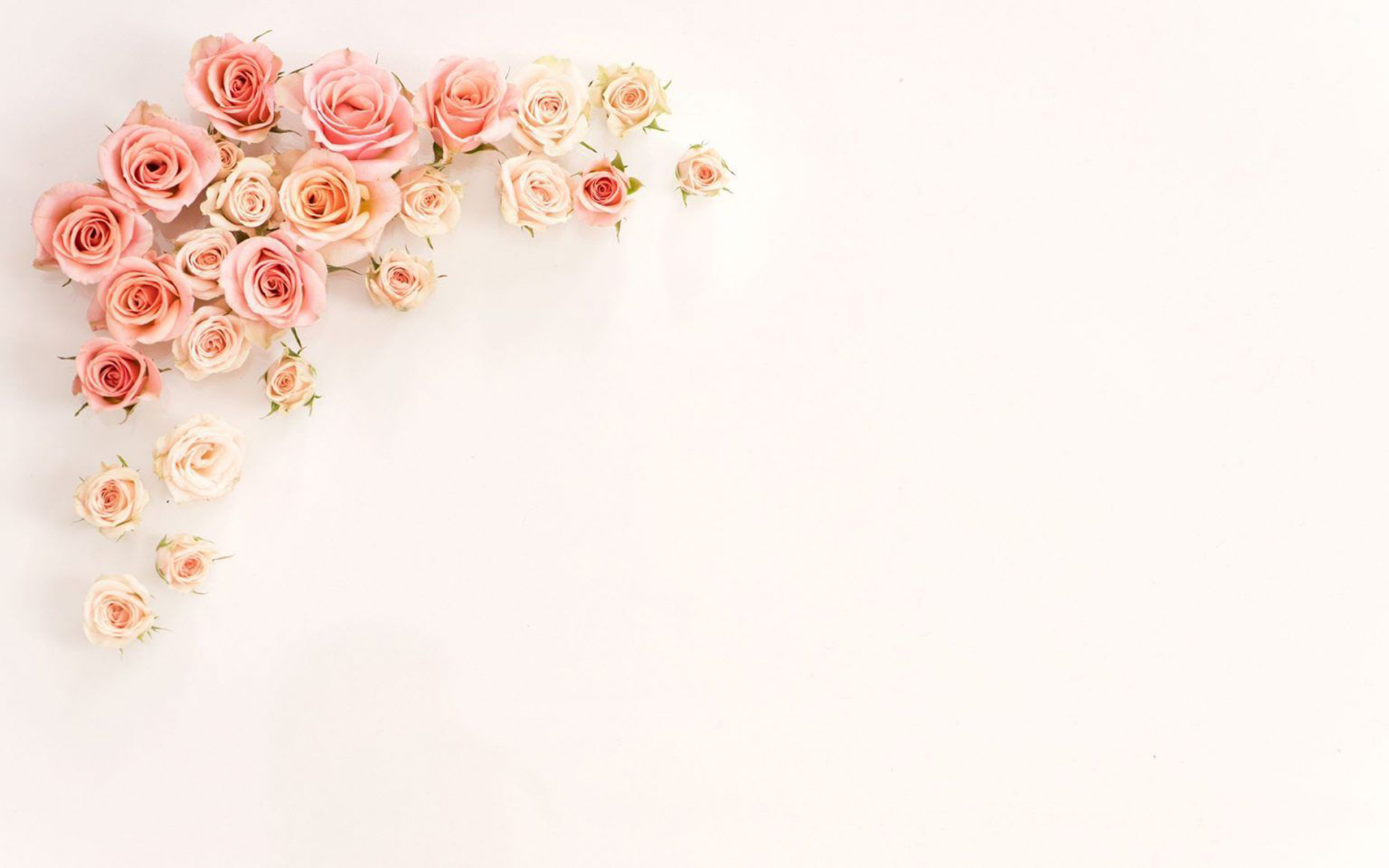 Aesthetic Rose Gold Cute Backgrounds