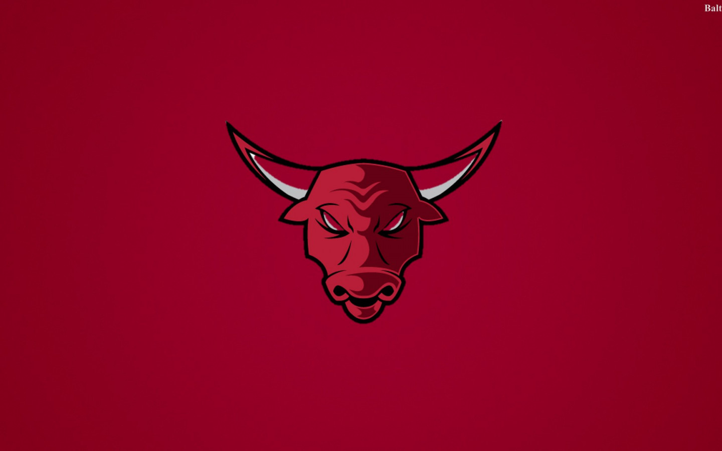 Chicago Bulls Background