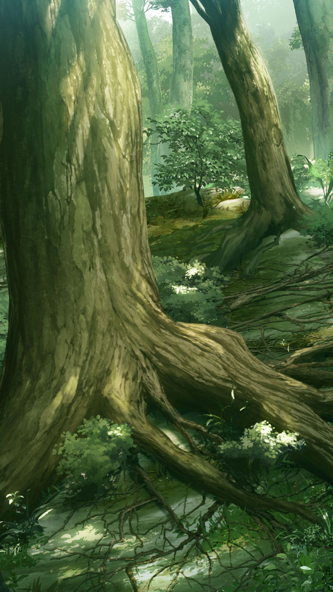 Anime Forest Background