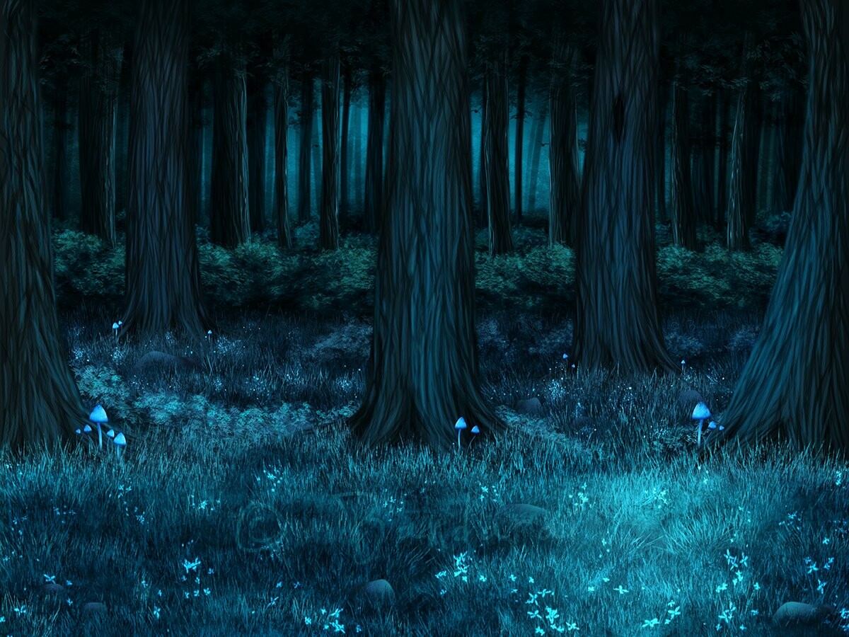 Anime Forest Background