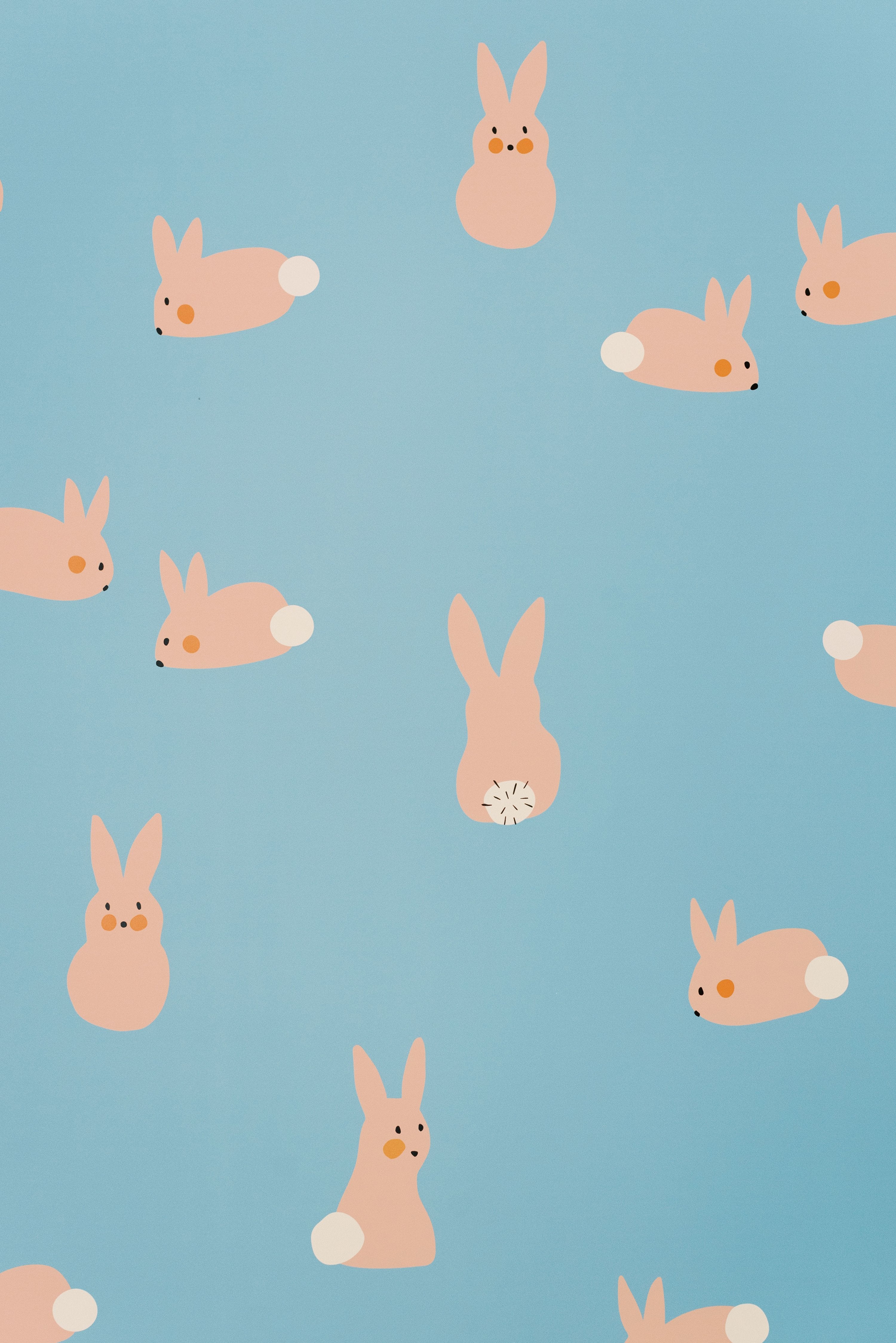 Cute Bunny Background