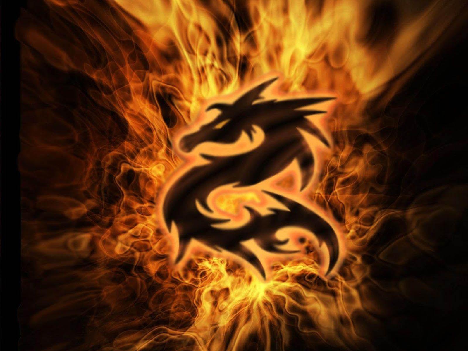 Cool Dragon Backgrounds For Computers That Move