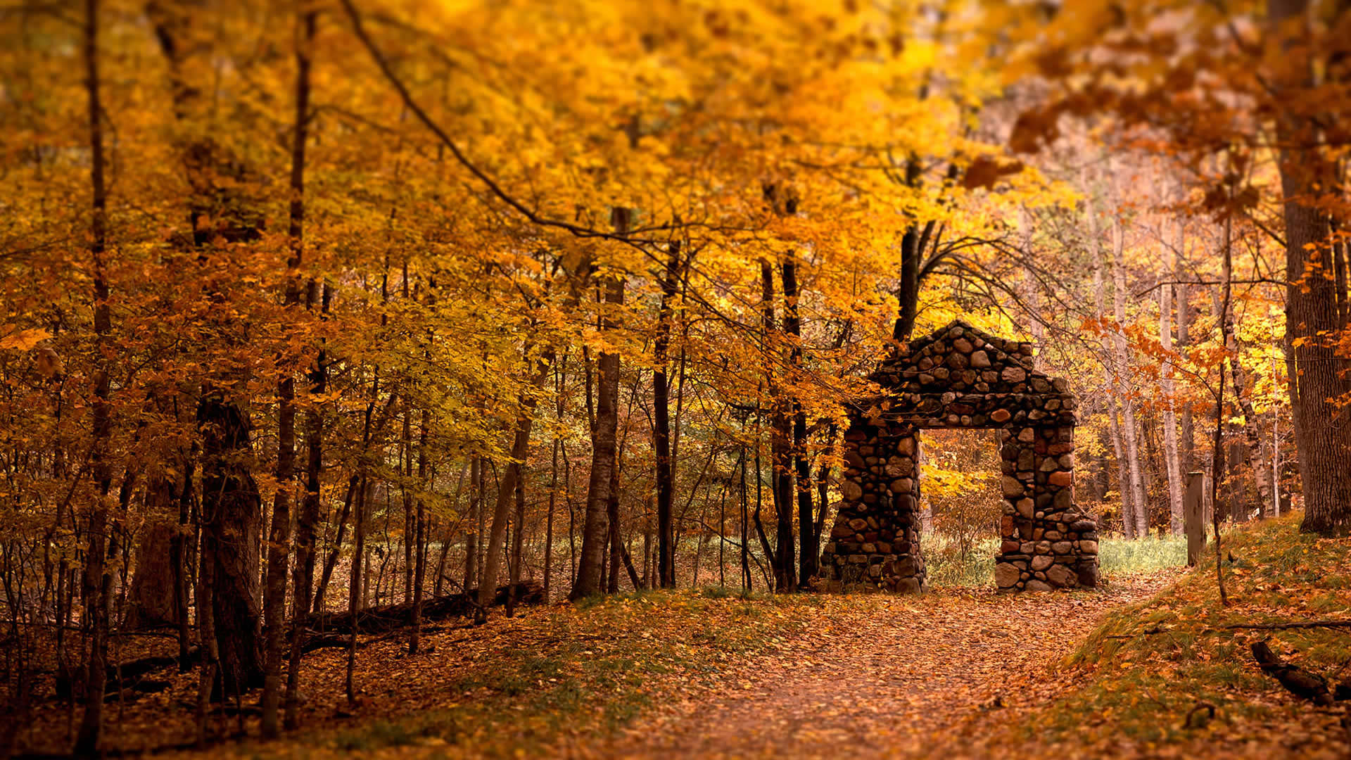 Cool Fall Backgrounds