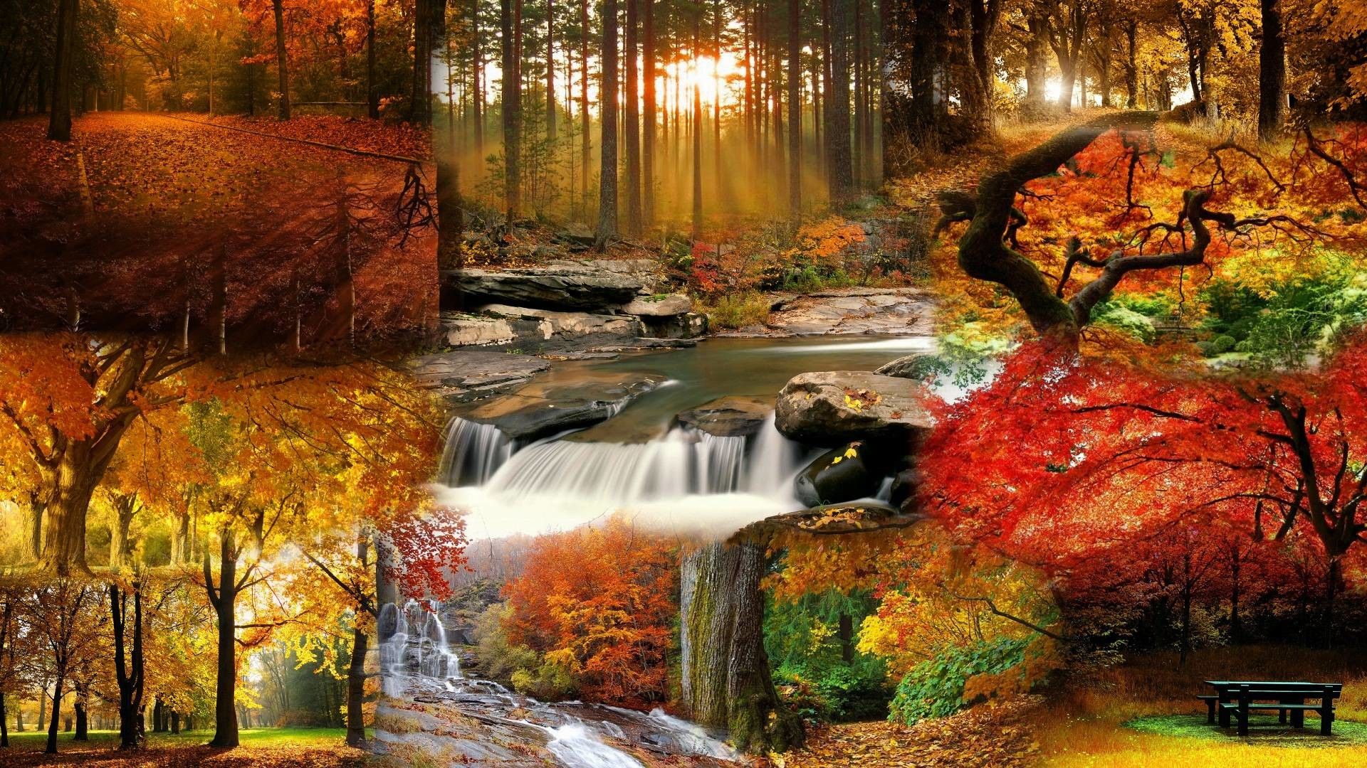 Cool Fall Backgrounds