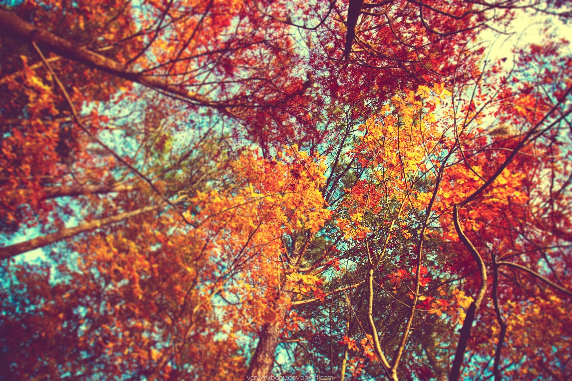 Cool Fall Backgrounds