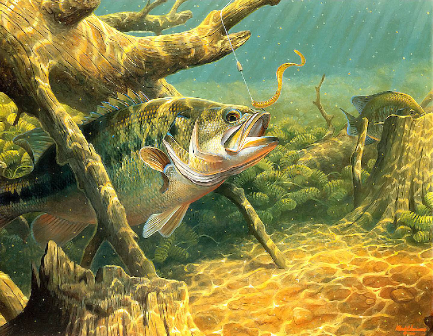 Cool Fish Backgrounds