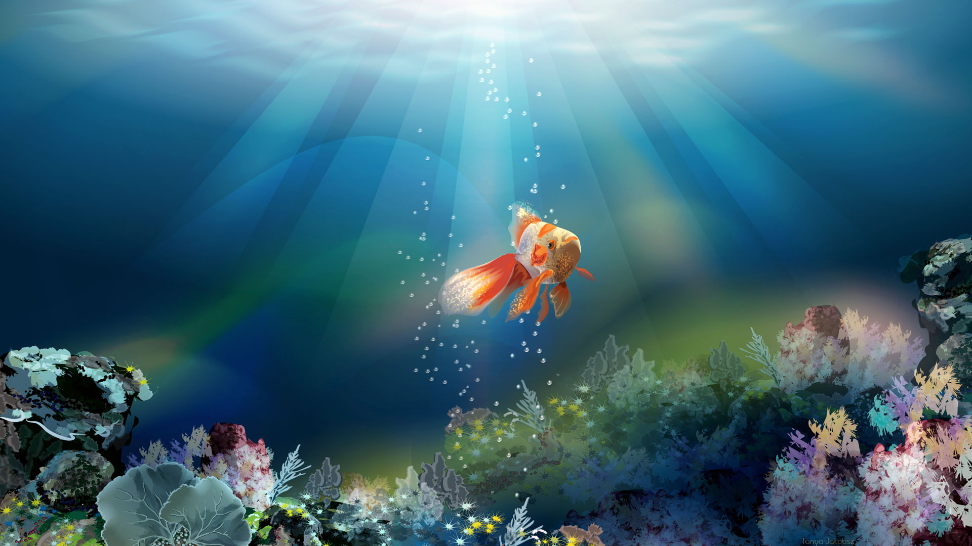 Cool Fish Backgrounds