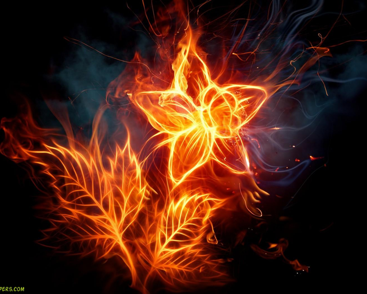 Cool Flame Backgrounds