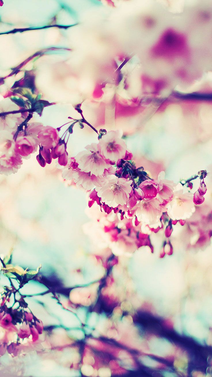 Cool Spring Backgrounds