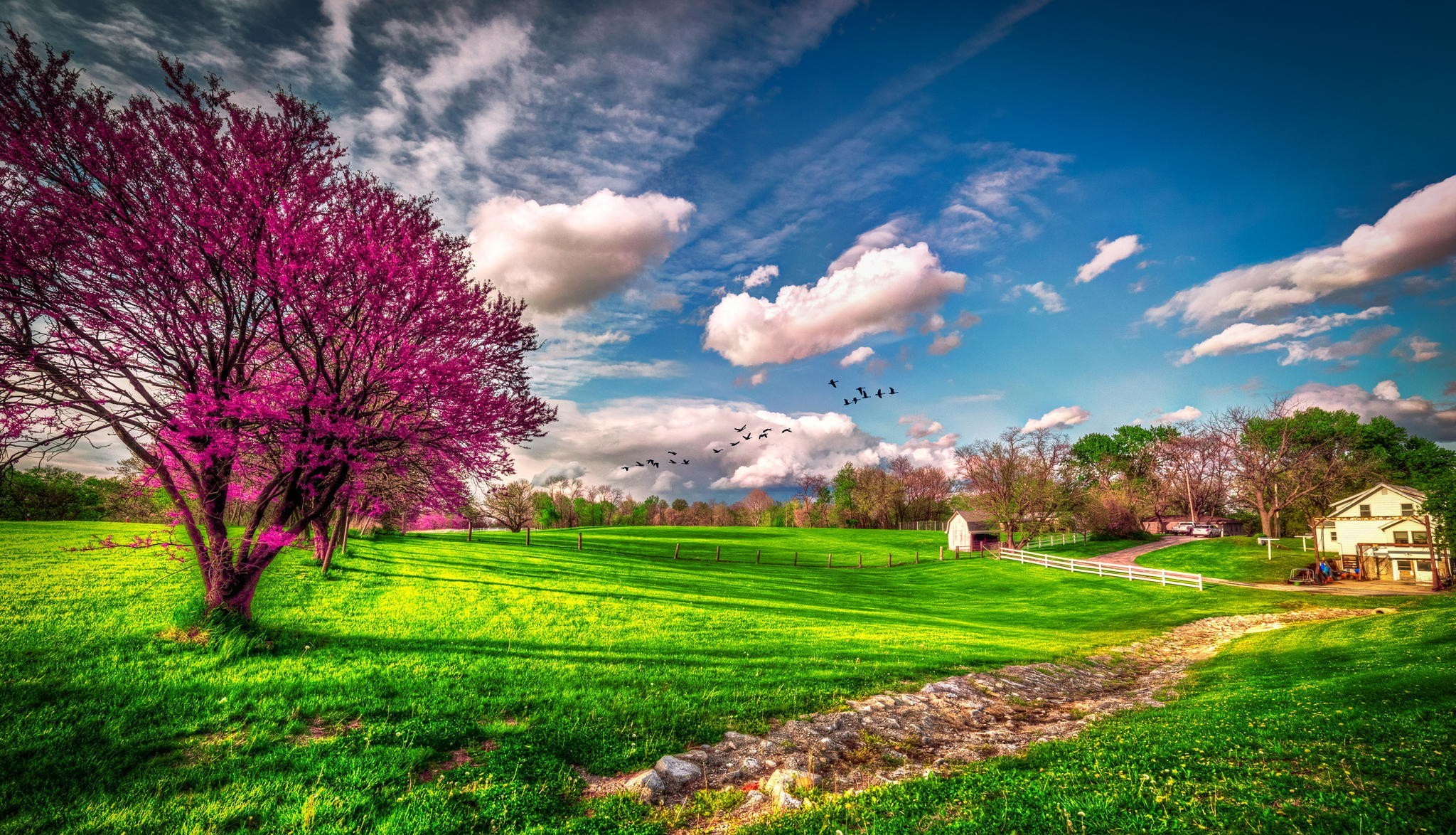 Cool Spring Backgrounds