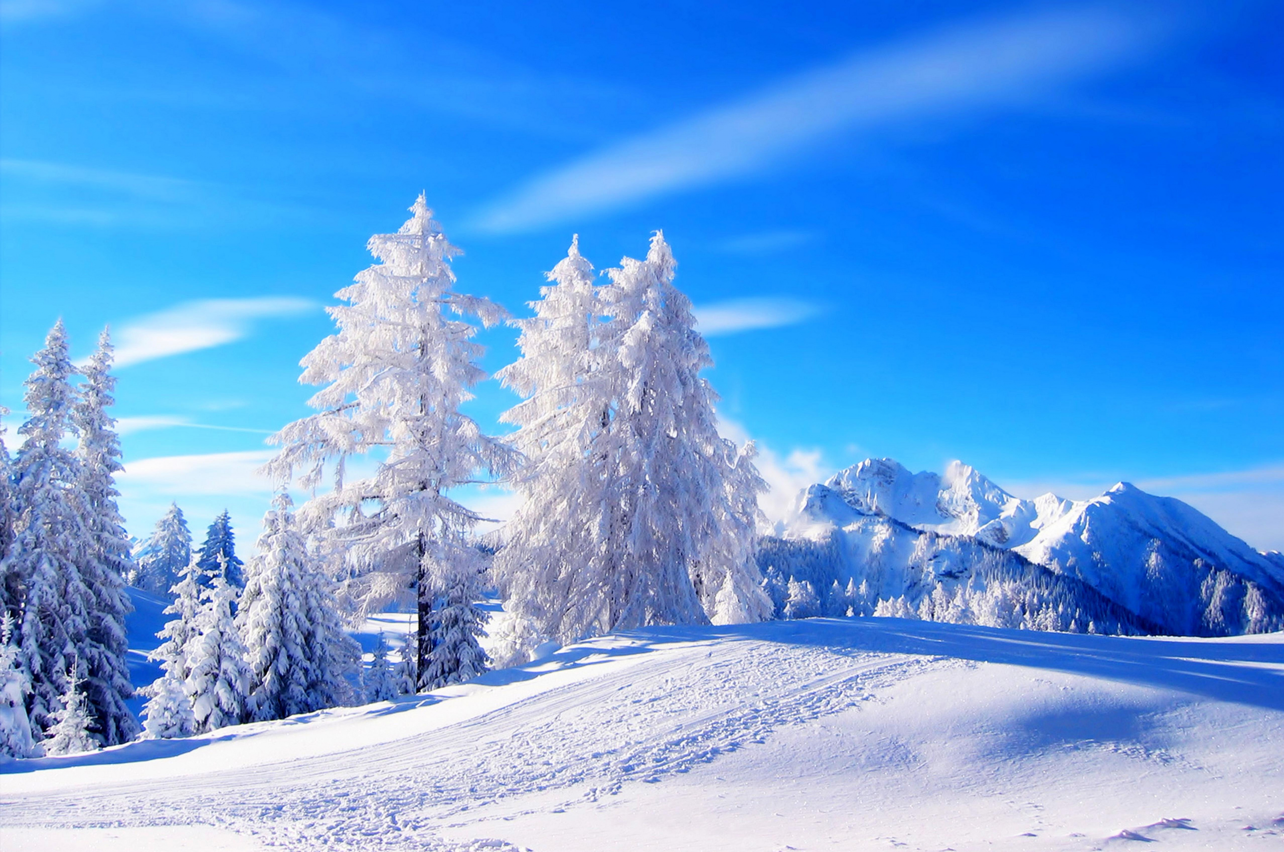 Cool Winter Backgrounds