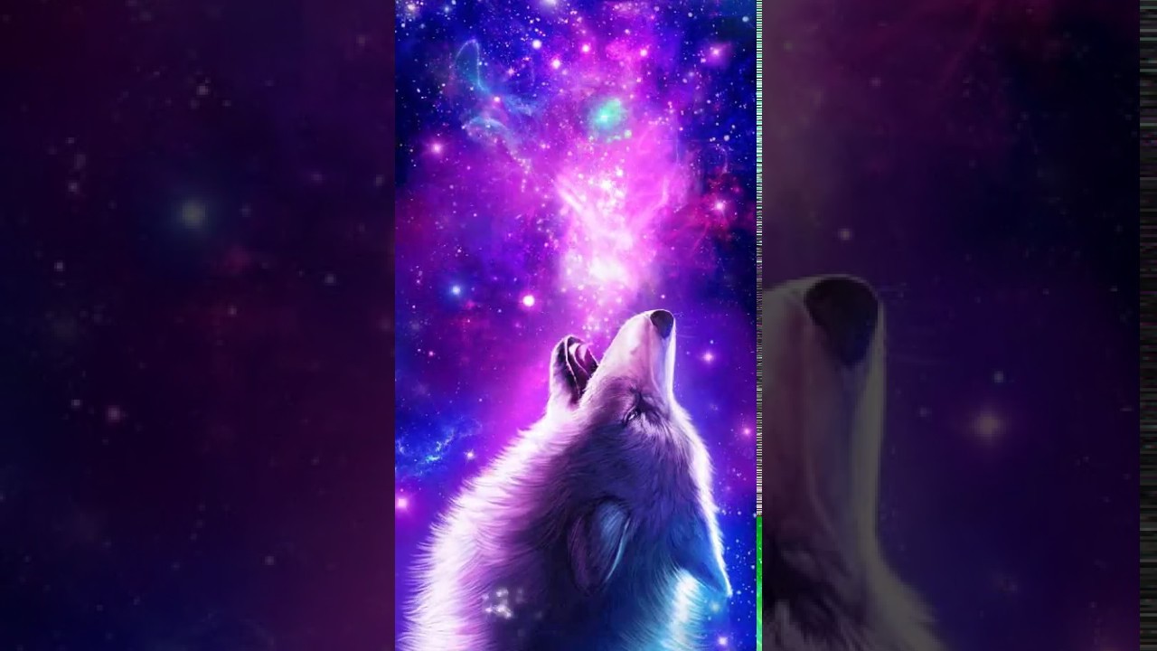 Cool Wolf Backgrounds